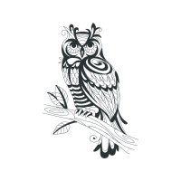 Owl Animals Owl Animals