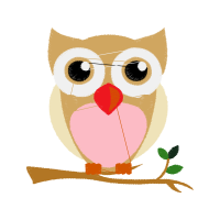 Owl Animals Owl Animals