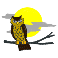 Owl Animals