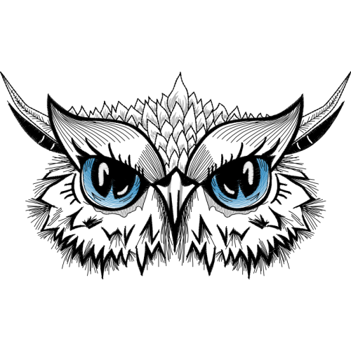 Owl Animals Owl Animals