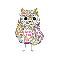 Owl Animals Owl Animals