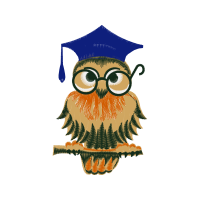 Owl Animals Owl Animals