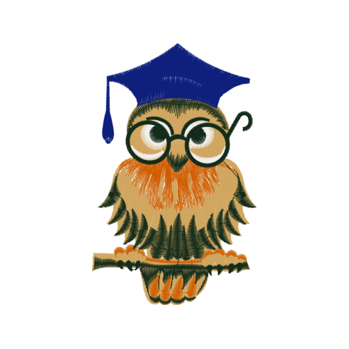 Owl Animals Owl Animals