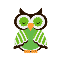 Owl Animals Owl Animals