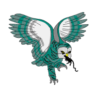 Owl Animals Owl Animals