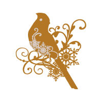 Owl Animals Owl Animals