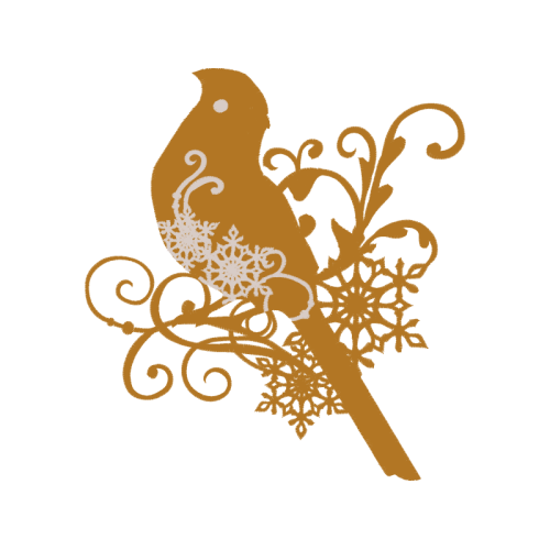 Owl Animals Owl Animals