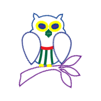 Owl Animals Owl Animals