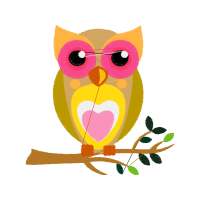 Owl Animals Owl Animals