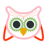 Owl Animals Owl Animals