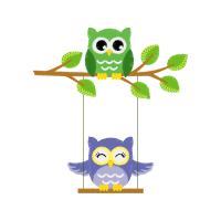 Owl Animals