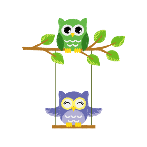 Owl Animals Owl Animals