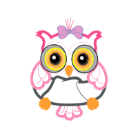 Owl Animals