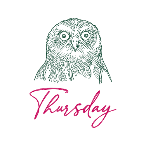 Owl Animals Owl Animals