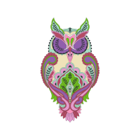 Owl Animals Owl Animals