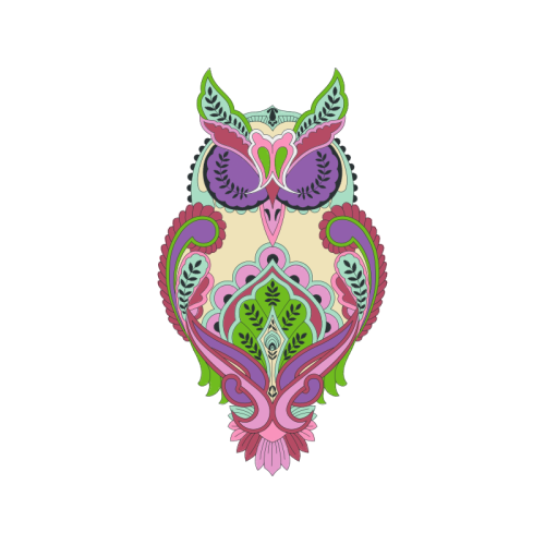 Owl Animals Owl Animals