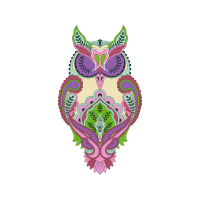 Owl Animals Owl Animals