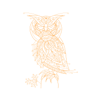 Owl Animals Owl Animals