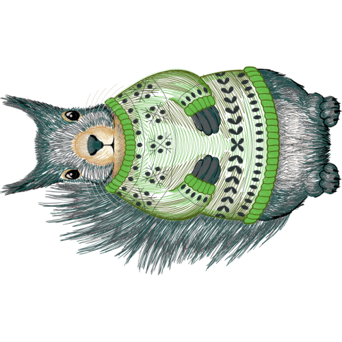 Owl Animals Owl Animals