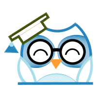 Owl Animals Owl Animals