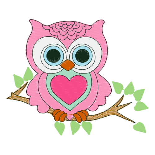 Owl Animals Owl Animals