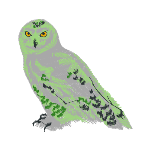 Owl Animals Owl Animals