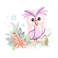 Owl Animals Owl Animals