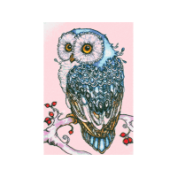 Owl Animals Owl Animals