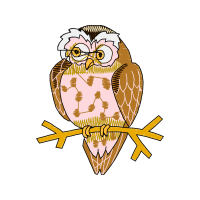 Owl Animals Owl Animals