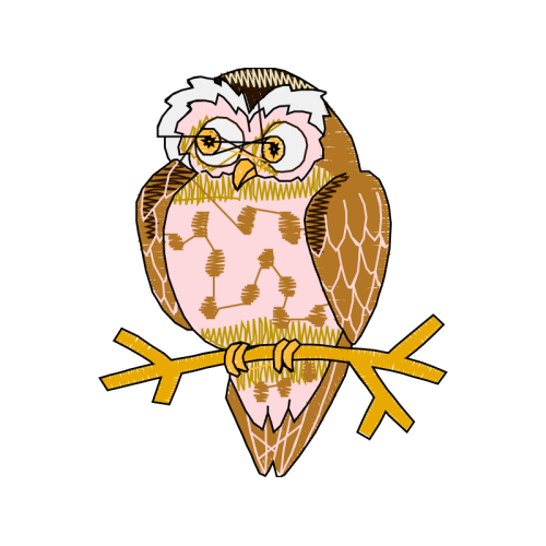 Owl Animals Owl Animals