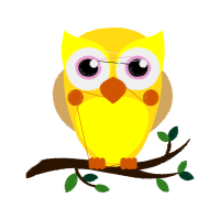 Owl Animals Owl Animals
