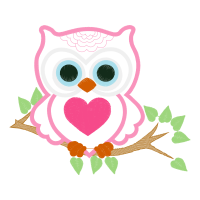 Owl Animals Owl Animals