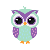 Owl Animals Owl Animals