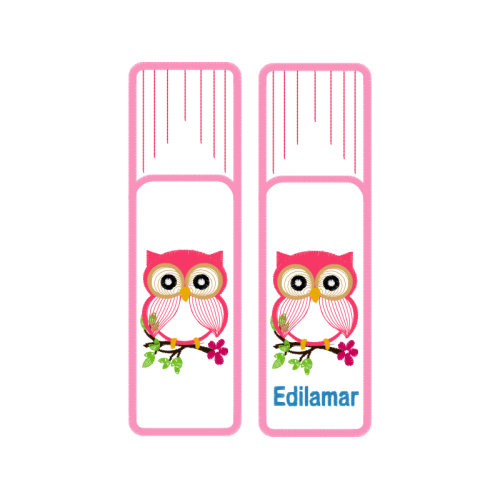 Owl Animals Owl Animals