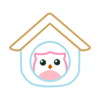 Owl Animals Owl Animals