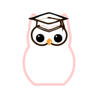 Owl Animals Owl Animals