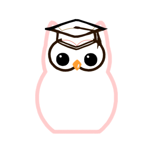 Owl Animals Owl Animals
