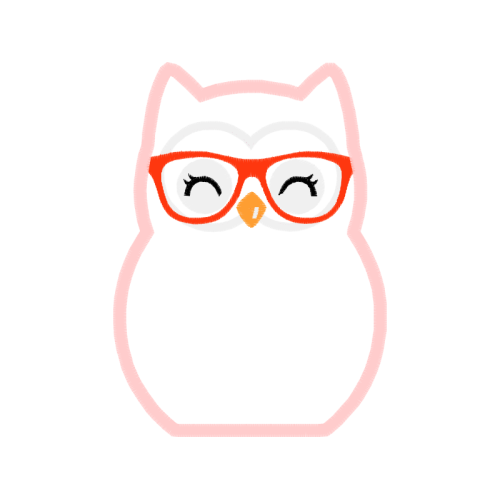 Owl Animals Owl Animals