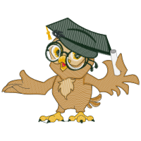 Owl Animals Owl Animals