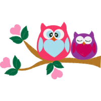 Owl Animals Owl Animals
