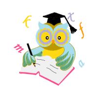 Owl Animals Owl Animals