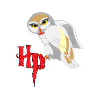 Owl Animals Owl Animals