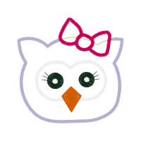Owl Animals Owl Animals