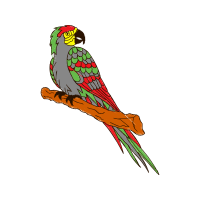 Parakeet Animals Parakeet Animals