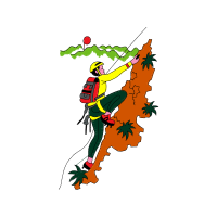 Parrots Animals Parrots Animals