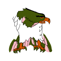 Parrots Animals Parrots Animals