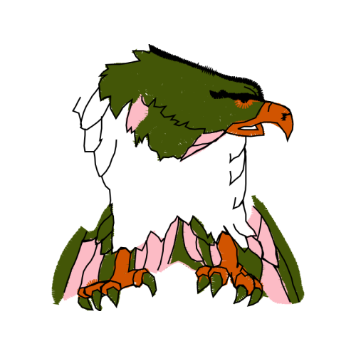 Parrots Animals Parrots Animals