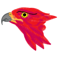 Parrots Animals Parrots Animals