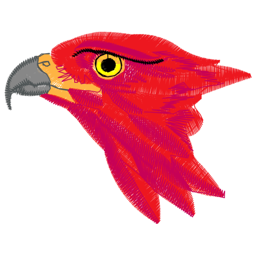 Parrots Animals Parrots Animals