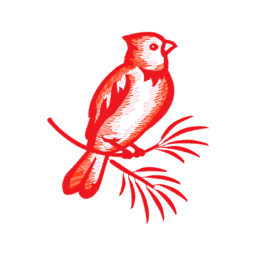 Parrots Animals Parrots Animals